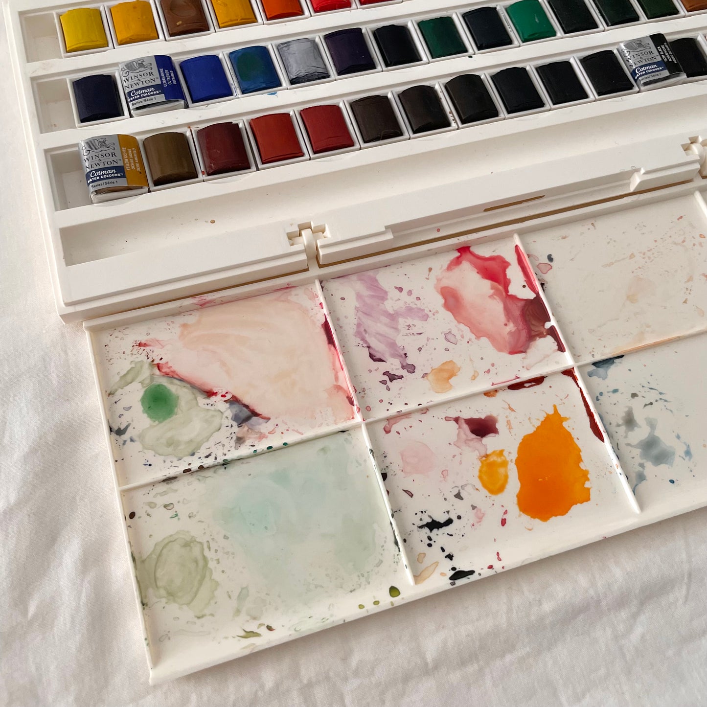 Winsor and Newton Watercolor Palette